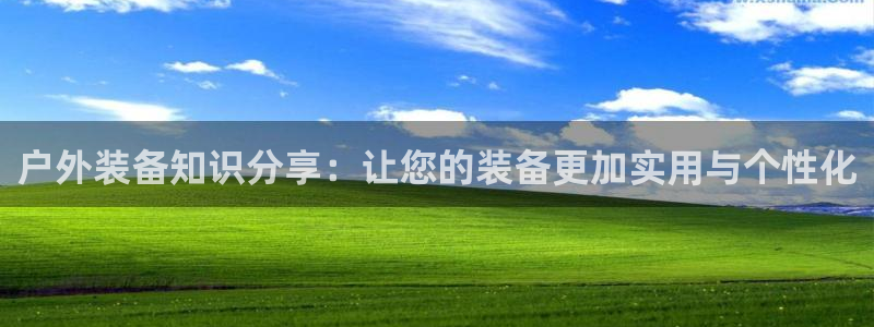 新宝gg龙虎规则