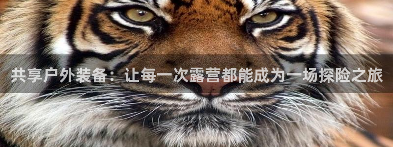 新宝gg开户流程