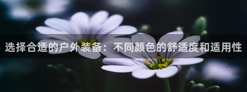 新宝gg平台下载安装