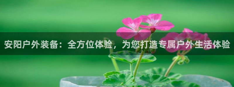 新宝gg注册 776317