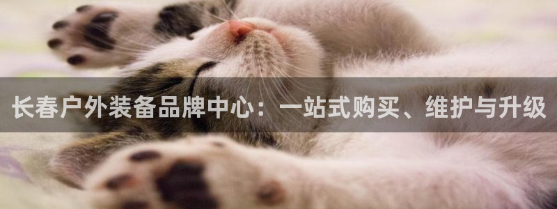 新宝gg_
