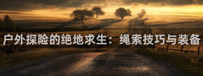 新宝gg套路