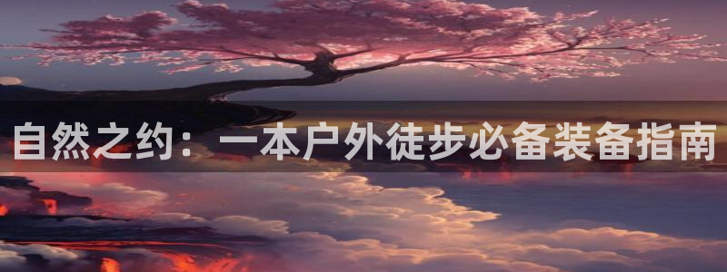 新宝gg 登陆