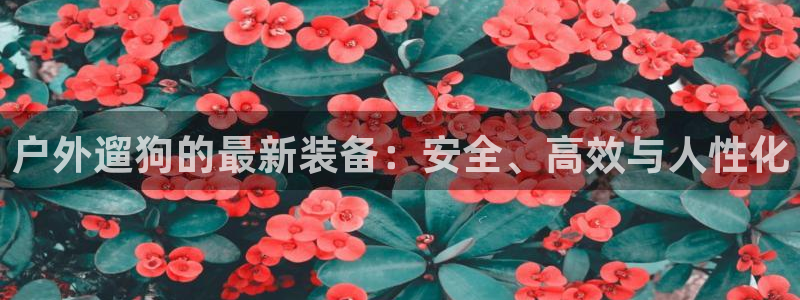 新宝gg招商89188