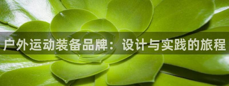 新宝gg平台开发