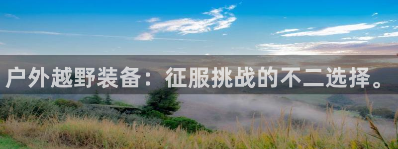 新宝GG股东