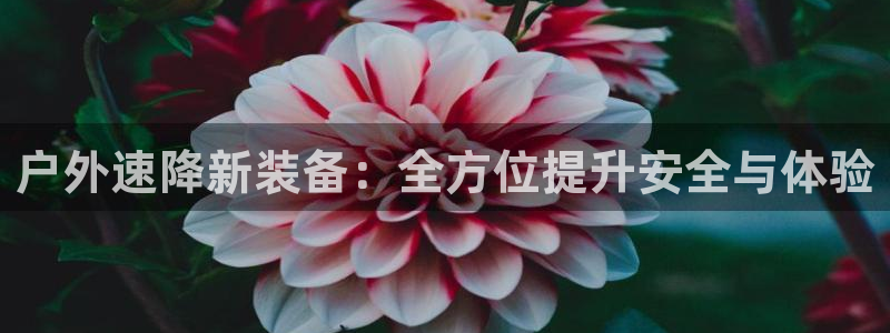 新宝gg入口网址