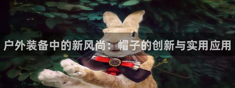 新宝gg有规律么