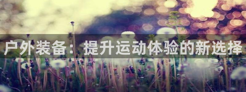 新宝gg主管_
