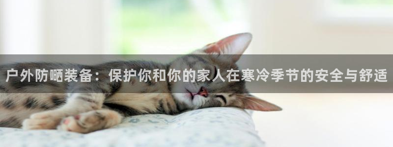 新宝GG上级