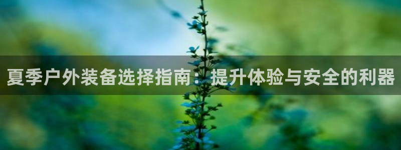 新宝gg网赚