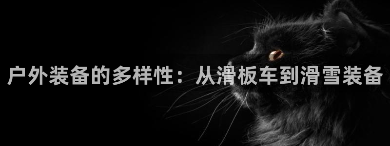 新宝gg登录网址