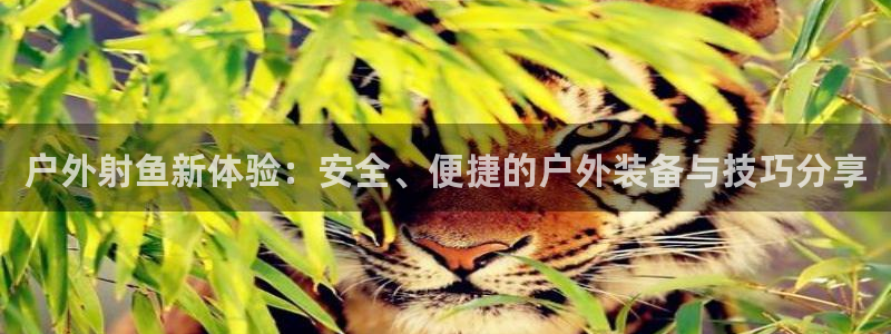 xbgg新宝gg