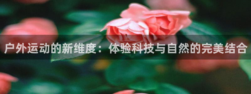 新宝gg老板64491
