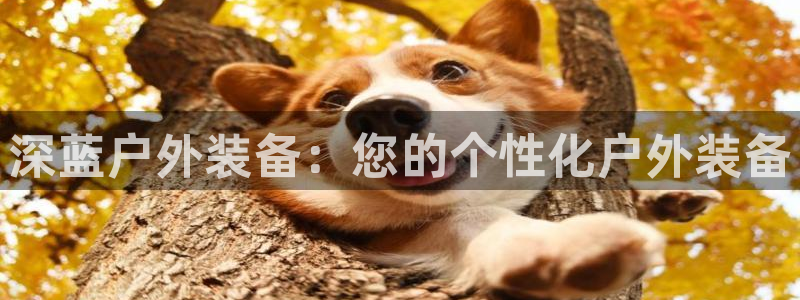 新宝gg平台注册