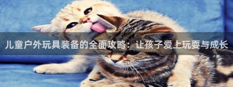 新宝gg返点1956是多少
