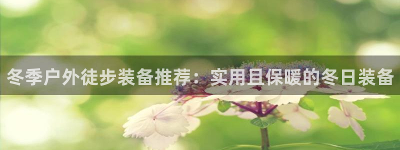新宝gg佣金