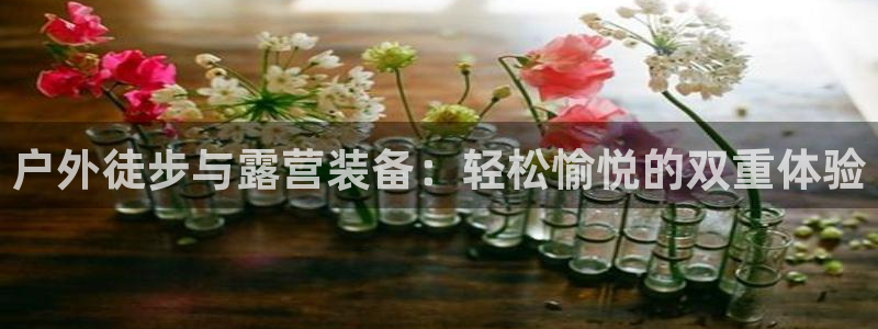 新宝GG上级
