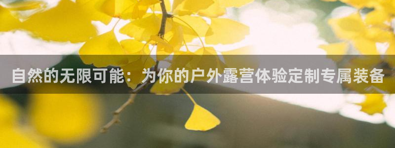 新宝GG反点