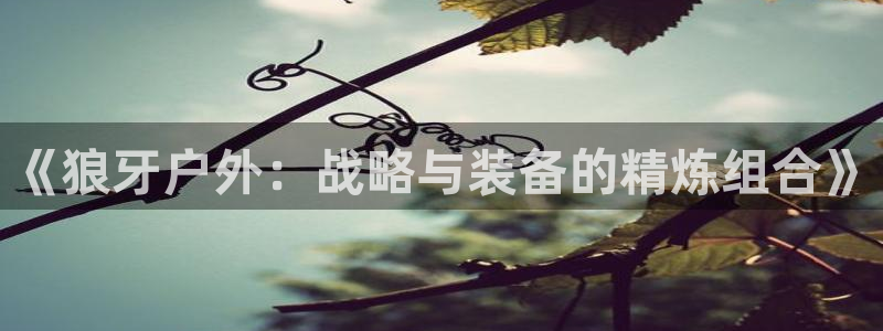新宝gg开奖结果可信吗