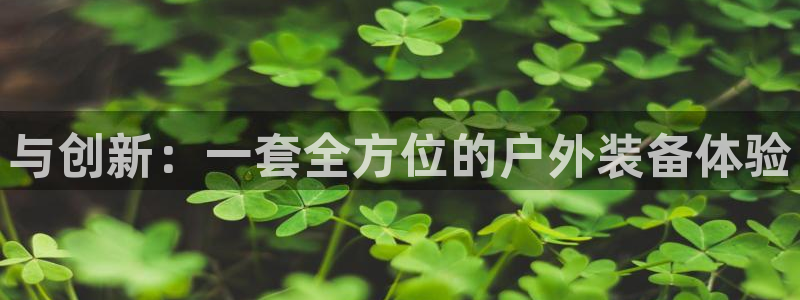 新宝gg如何