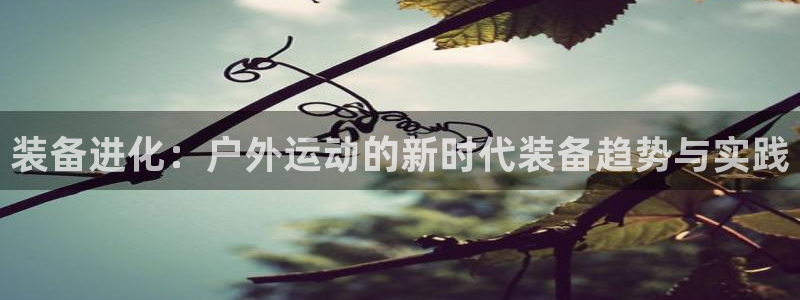 新宝gg网址
