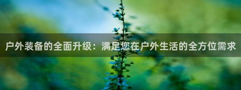 新宝gg娱乐上皇巢网
