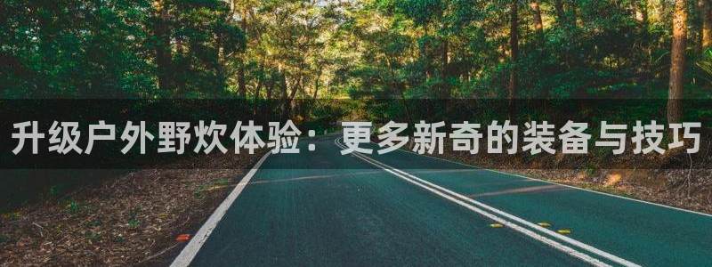 新宝gg线长