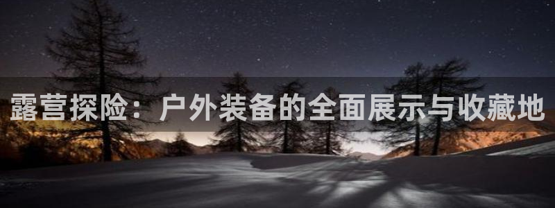 新宝gg待遇