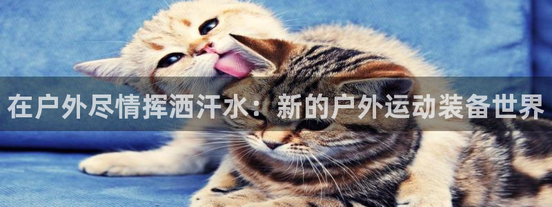 新宝gg__