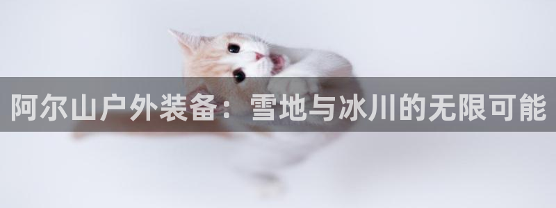新宝gg怎么样