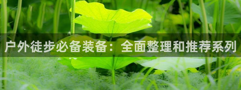 新宝gg下载