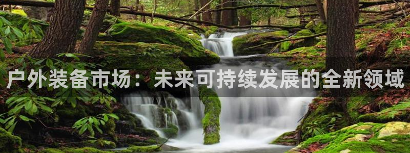 新宝gg招商致胜团队