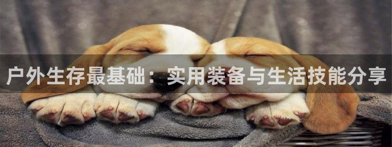 新宝gg开