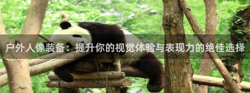 新宝gg6娱乐注册网址