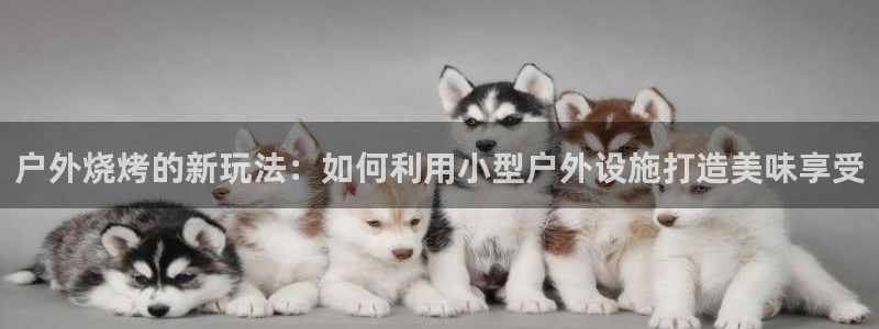 新宝gg手机版下载