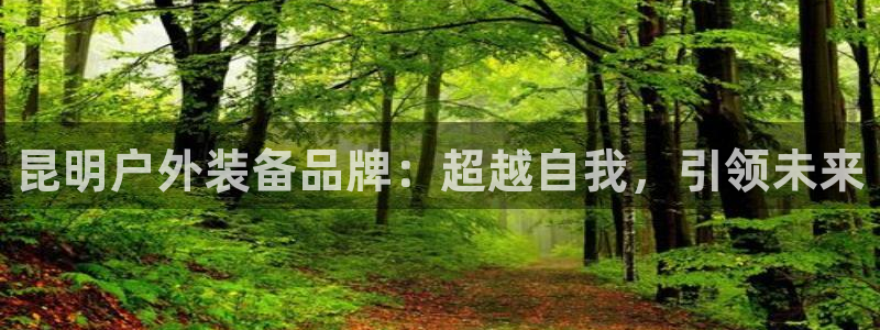 新宝gg是什么