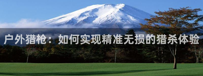 新宝gg如何赚钱
