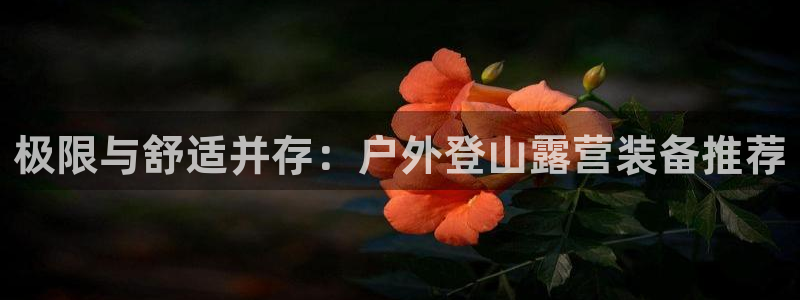 新宝gg 内部 8