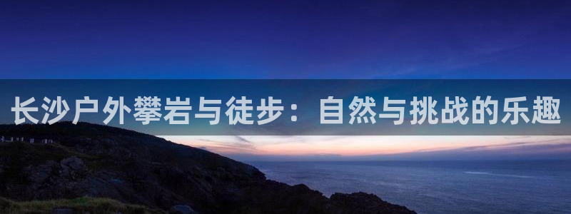 新宝gg手机登录官网