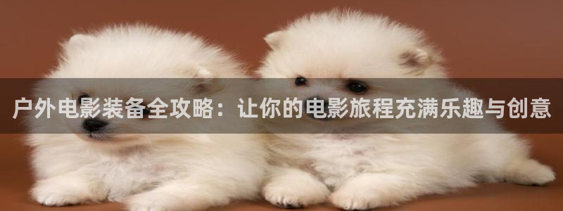 新宝gg如何登录