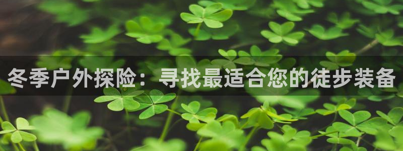 新宝gg登陆