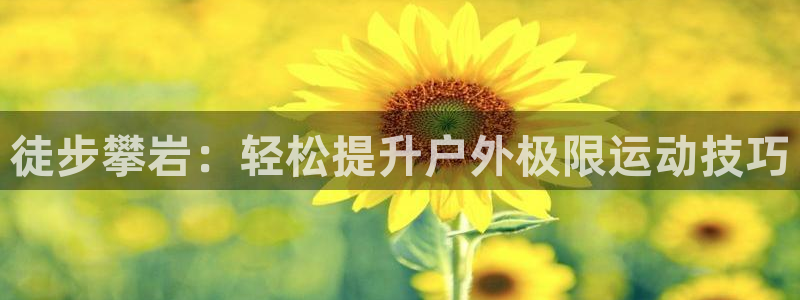 新宝太阳 gg