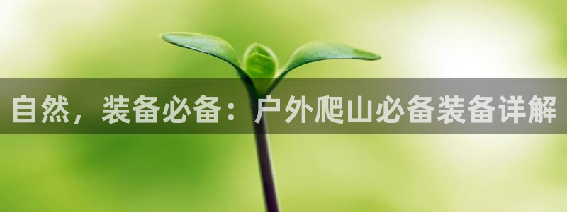 新宝gg下载官网下载