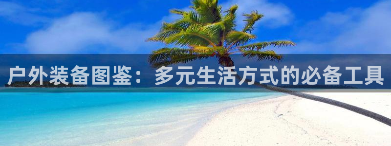 新宝gg登陆