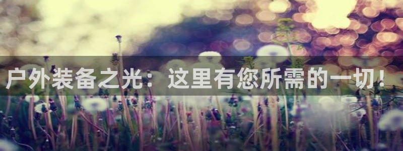 新宝gg入口网址