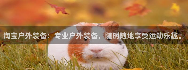 新宝gg好吗