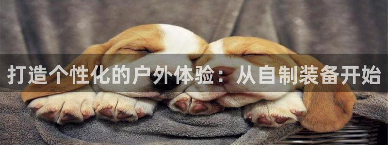 新宝gg漏洞