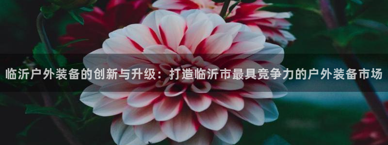 新宝gg软件下载
