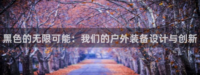 新宝gg运营88383